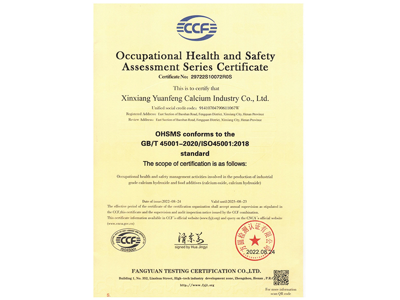 職業(yè)健康安全管理體系認證證書（英文版）